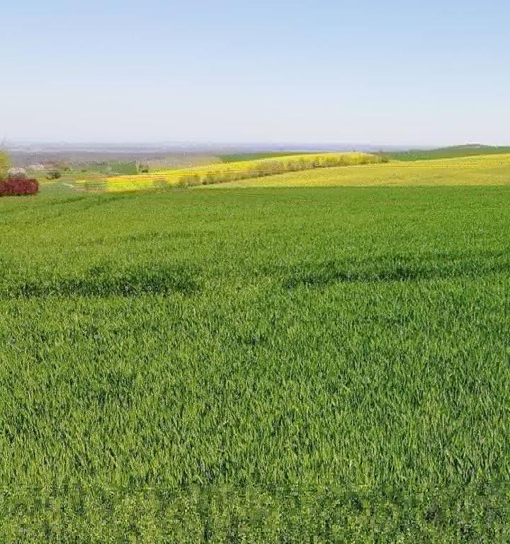 Zum Felsenrundgang